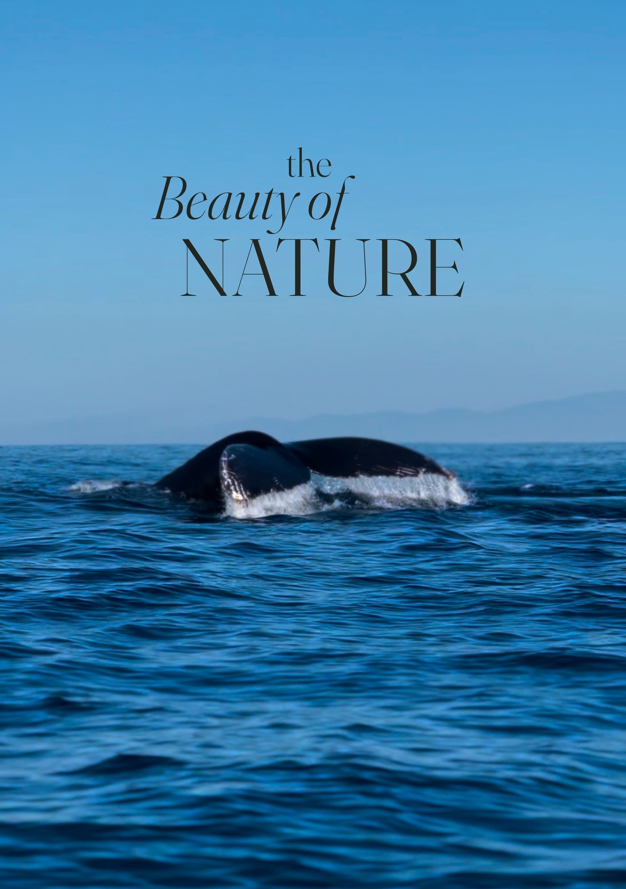 The beauty of nature — humpback whale tail off the Pacific coast
